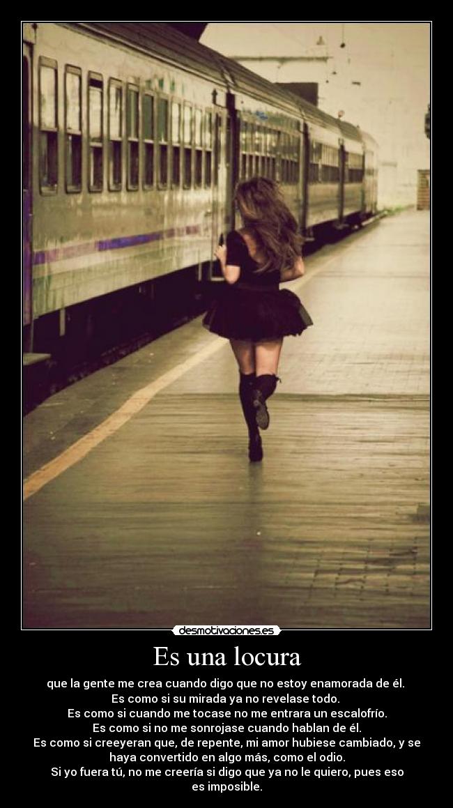 Es una locura - que la gente me crea cuando digo que no estoy enamorada de él.
Es como si su mirada ya no revelase todo.
Es como si cuando me tocase no me entrara un escalofrío.
Es como si no me sonrojase cuando hablan de él.
Es como si creeyeran que, de repente, mi amor hubiese cambiado, y se
haya convertido en algo más, como el odio.
Si yo fuera tú, no me creería si digo que ya no le quiero, pues eso
es imposible.