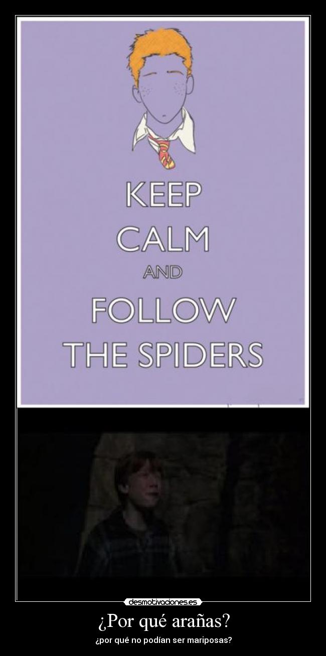 ¿Por qué arañas? - 