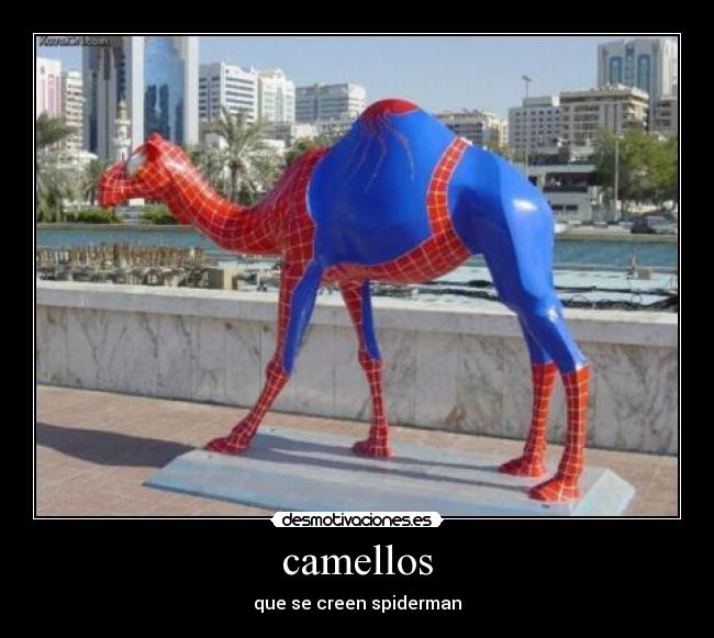 camellos -
