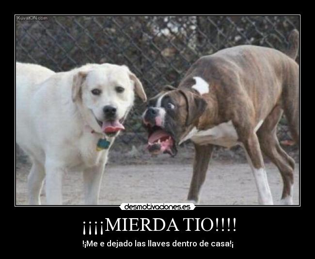 ¡¡¡¡MIERDA TIO!!!! - !¡Me e dejado las llaves dentro de casa!¡