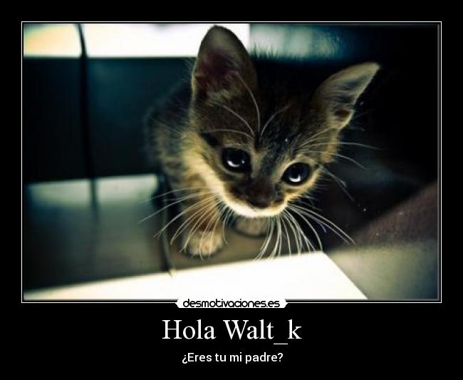 carteles hola walt_k desmotivaciones