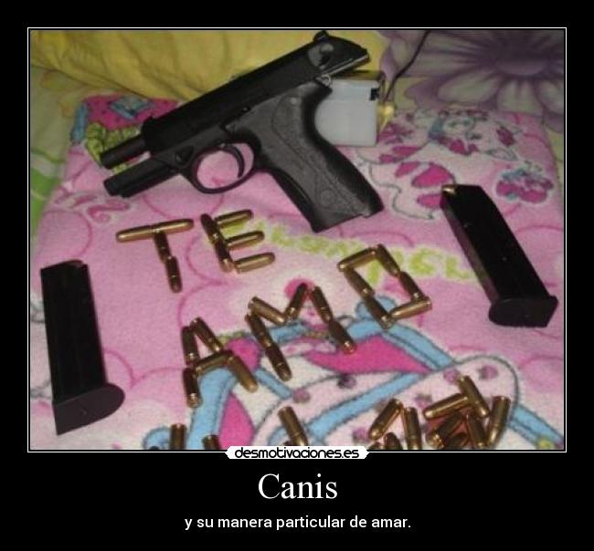 Canis - y su manera particular de amar.