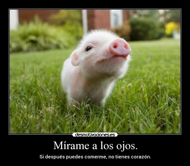 Mírame a los ojos. - 