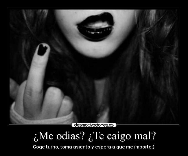 ¿Me odias? ¿Te caigo mal? - Coge turno, toma asiento y espera a que me importe;)