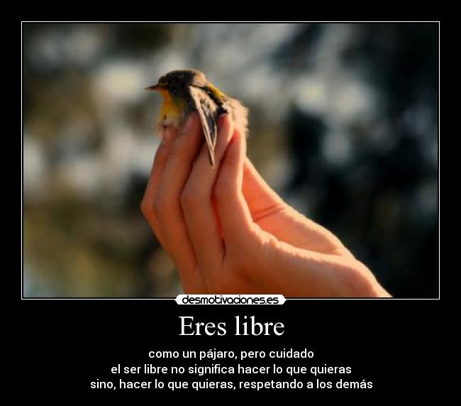 Eres libre -