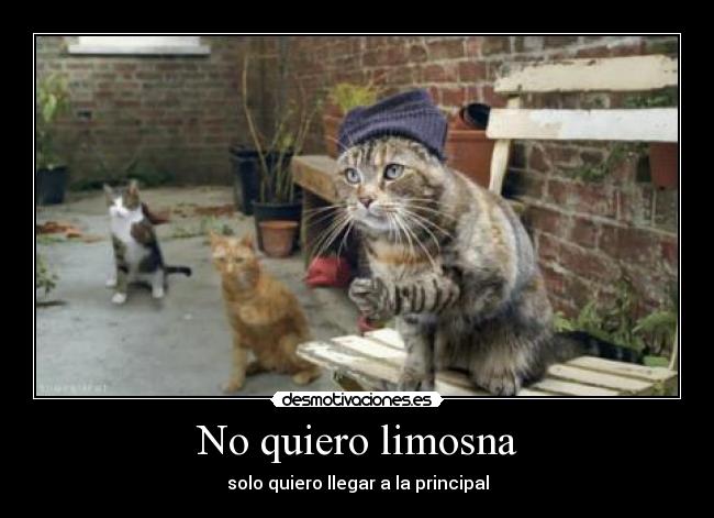 No quiero limosna -