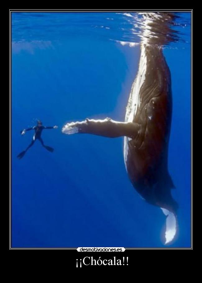 ¡¡Chócala!! -