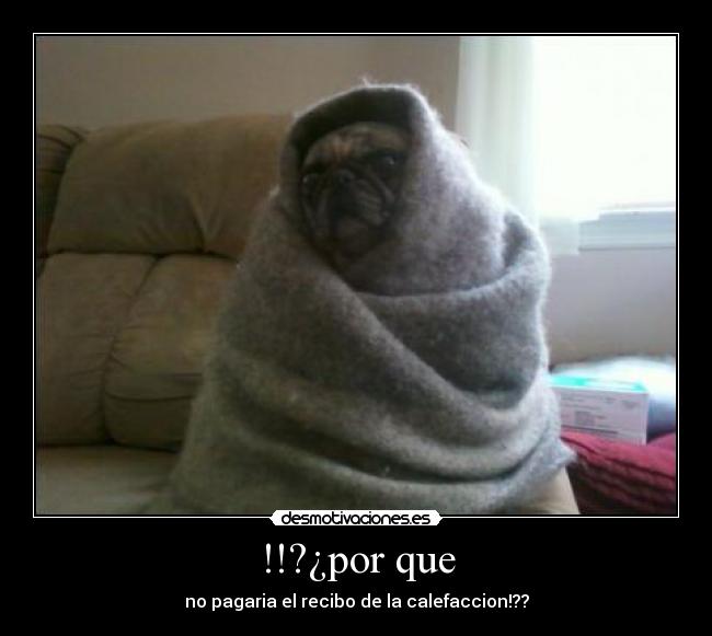 !!?¿por que - no pagaria el recibo de la calefaccion!??