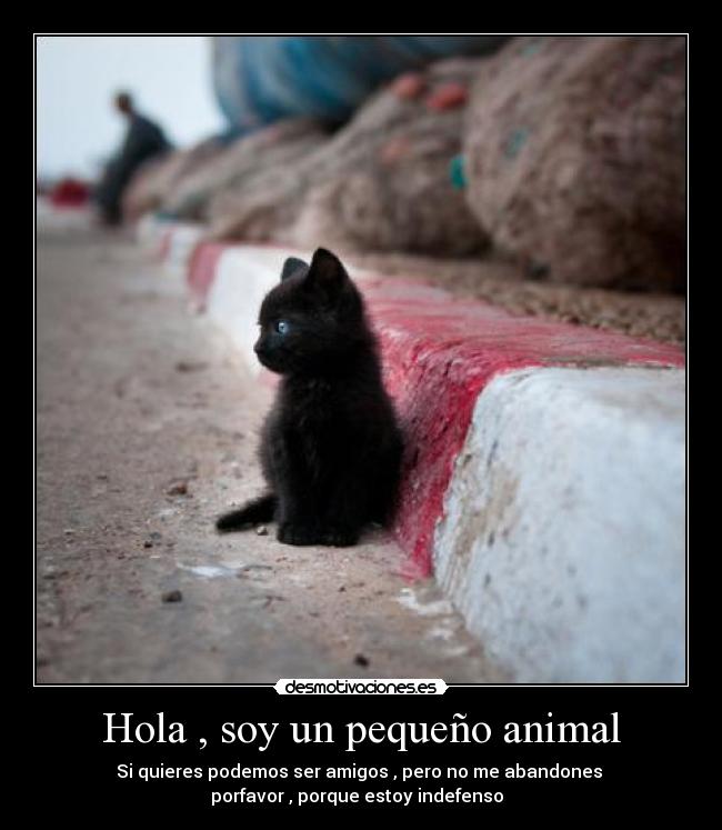 Hola , soy un pequeño animal - Si quieres podemos ser amigos , pero no me abandones 
porfavor , porque estoy indefenso  