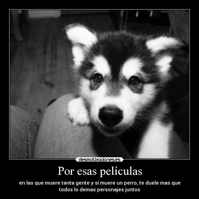 Por esas películas - en las que muere tanta gente y si muere un perro, te duele mas que
todos lo demas personajes juntos