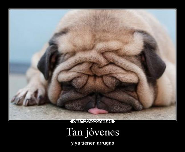 Tan jóvenes - 