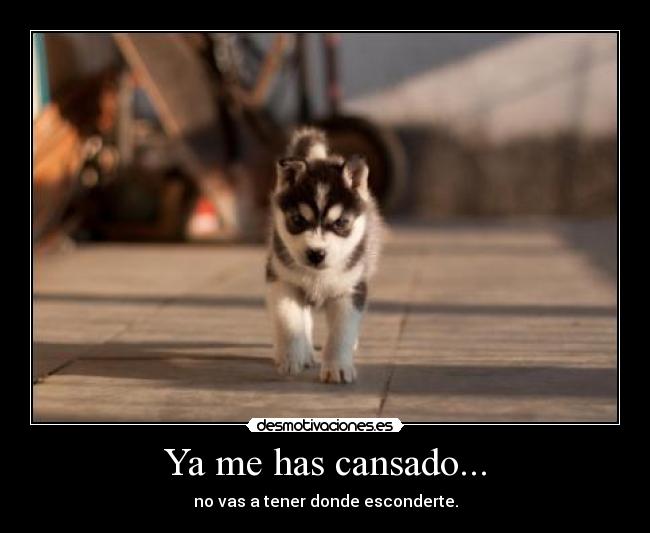 Ya me has cansado... - no vas a tener donde esconderte.