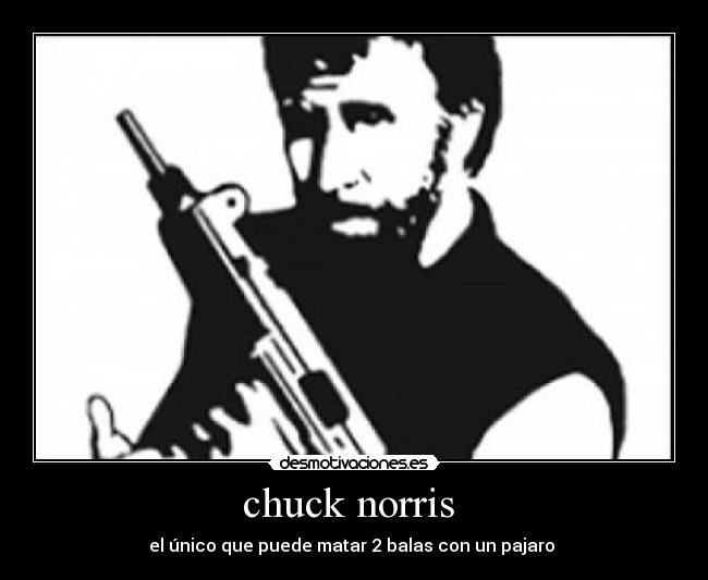 chuck norris -