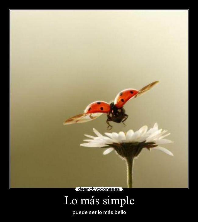 carteles shine desmotivaciones