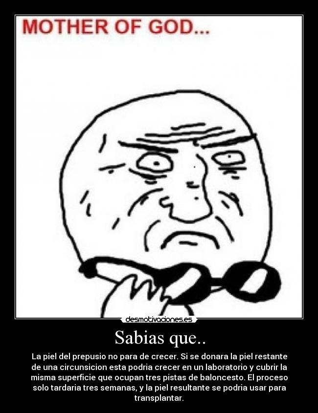 Sabias que.. -