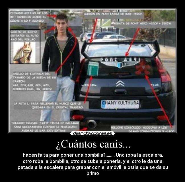 ¿Cuántos canis... - hacen falta para poner una bombilla?........ Uno roba la escalera,
otro roba la bombilla, otro se sube a ponerla, y el otro le da una
patada a la escalera para grabar con el amóvil la ostia que se da su
primo