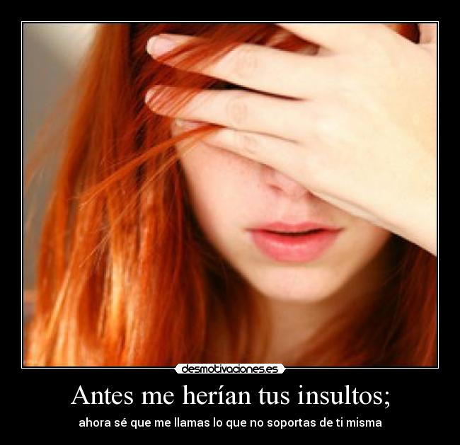 Antes me herían tus insultos; - ahora sé que me llamas lo que no soportas de ti misma