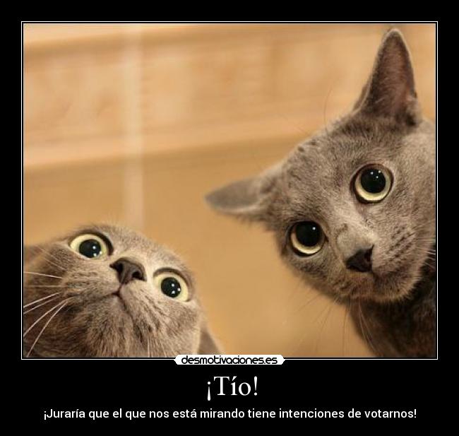 carteles desmotivaciones