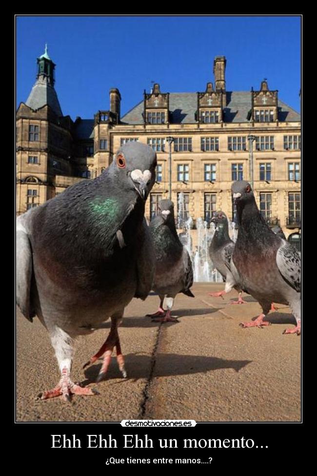 Ehh Ehh Ehh un momento... -