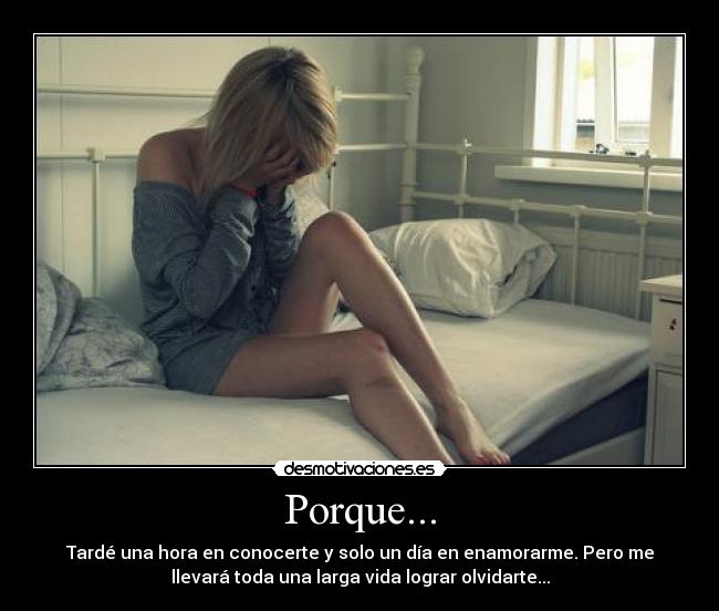 Porque... - Tardé una hora en conocerte y solo un día en enamorarme. Pero me
llevará toda una larga vida lograr olvidarte...