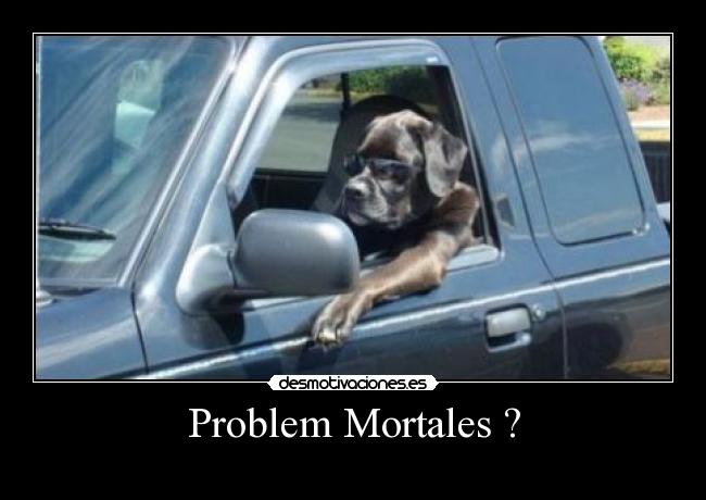 carteles humor desmotivaciones