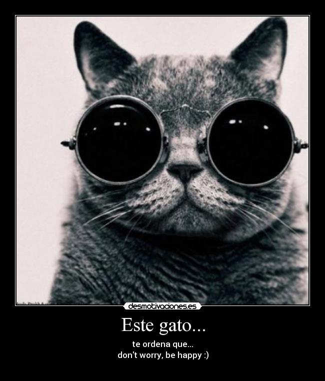 carteles este gato desmotivaciones