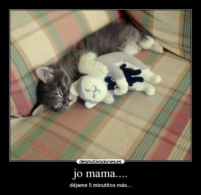 jo mama.... -