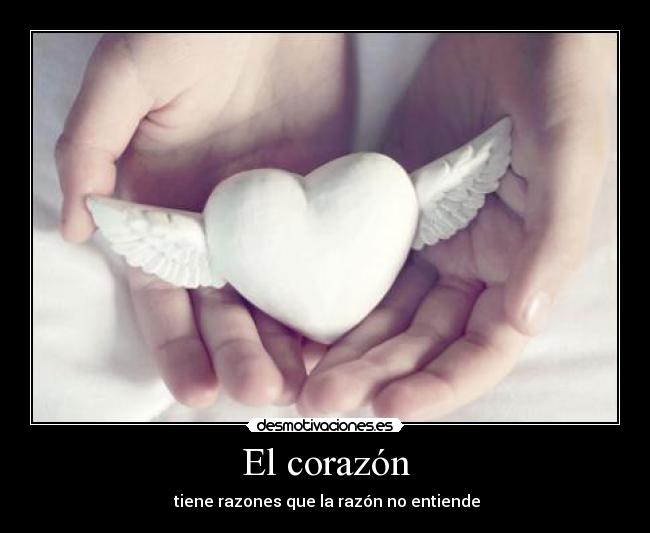 El corazón -  tiene razones que la razón no entiende