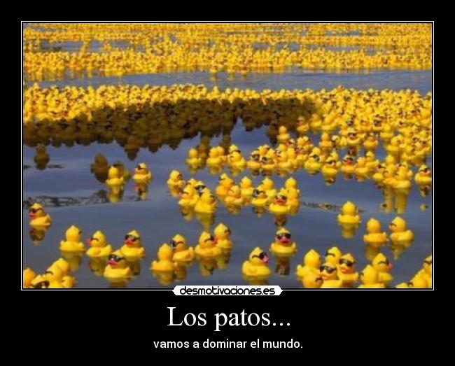 Los patos... - vamos a dominar el mundo.