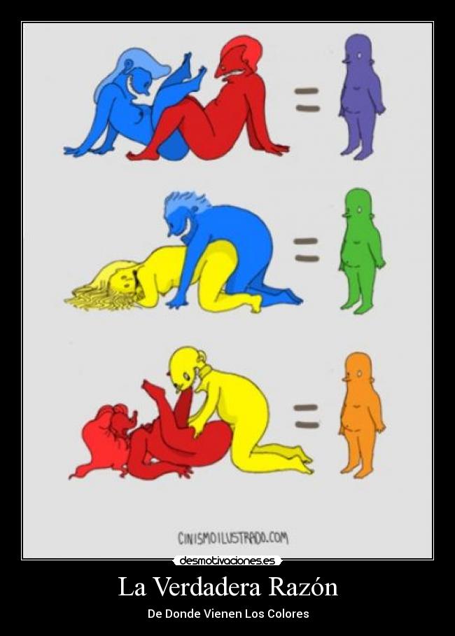 La Verdadera Razón -