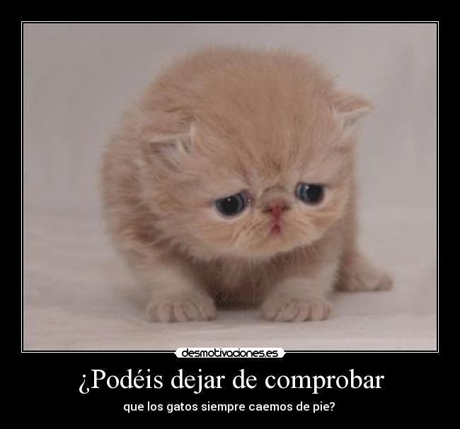 ¿Podéis dejar de comprobar -