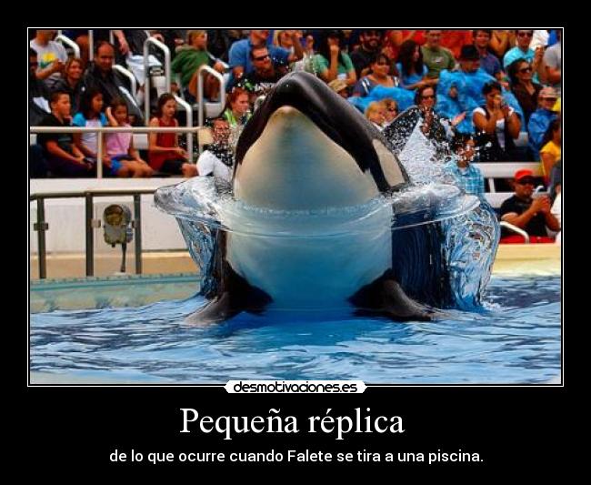 Pequeña réplica - de lo que ocurre cuando Falete se tira a una piscina.