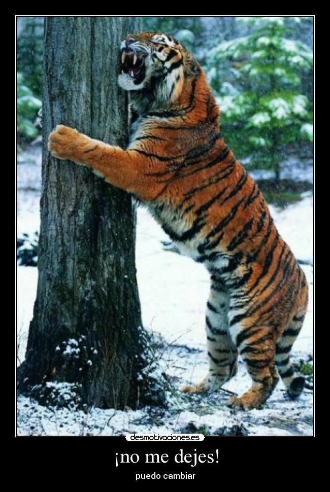 ¡no me dejes! - puedo cambiar