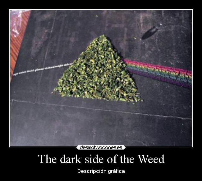 The dark side of the Weed - Descripción gráfica