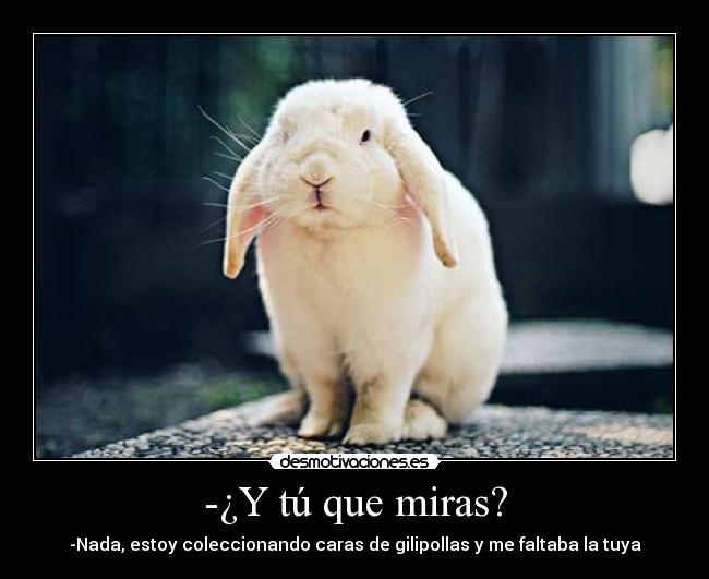 -¿Y tú que miras? - -Nada, estoy coleccionando caras de gilipollas y me faltaba la tuya