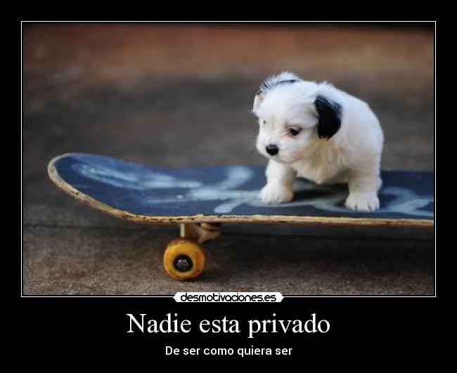 Nadie esta privado - 