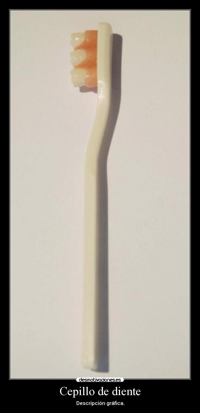 Cepillo de diente - Descripción gráfica.
