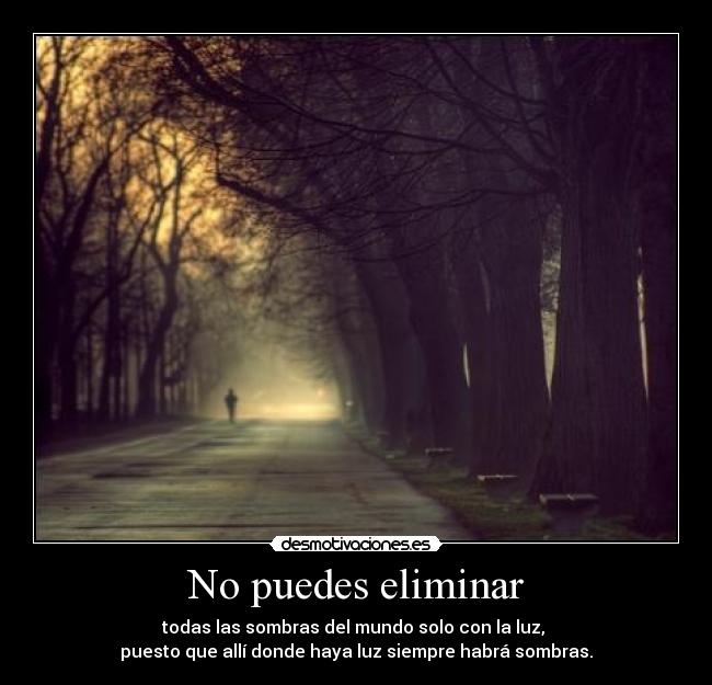 No puedes eliminar - todas las sombras del mundo solo con la luz, 
puesto que allí donde haya luz siempre habrá sombras.