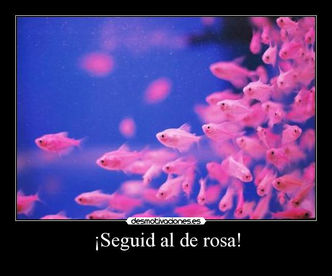 ¡Seguid al de rosa! -