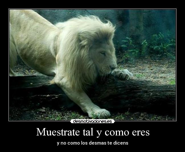 Muestrate tal y como eres - 