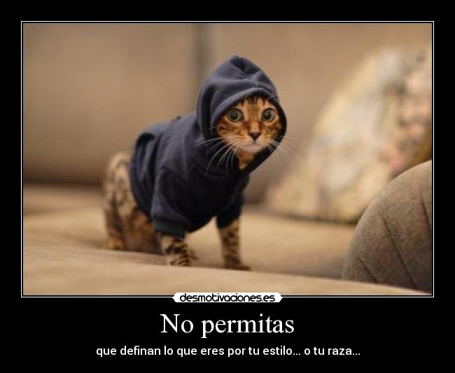No permitas -