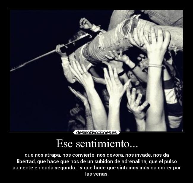 Ese sentimiento... - que nos atrapa, nos convierte, nos devora, nos invade, nos da
libertad, que hace que nos de un subidón de adrenalina, que el pulso
aumente en cada segundo... y que hace que sintamos música correr por
las venas.