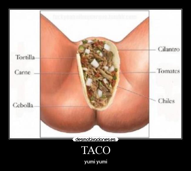 TACO - yumi yumi