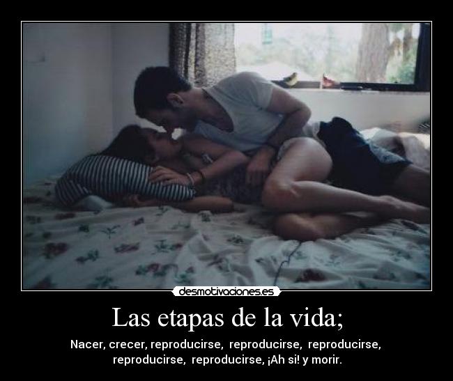 Las etapas de la vida; - Nacer, crecer, reproducirse,  reproducirse,  reproducirse, 
reproducirse,  reproducirse, ¡Ah si! y morir.
