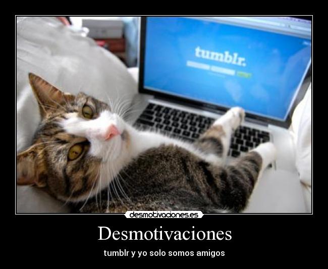 carteles desmotivaciones tumblr desmo amigos fail yayotron desmotivaciones