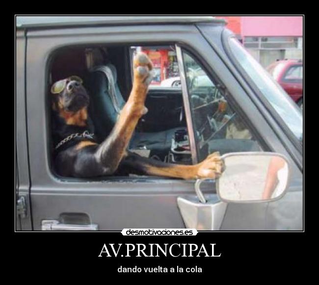 AV.PRINCIPAL - dando vuelta a la cola