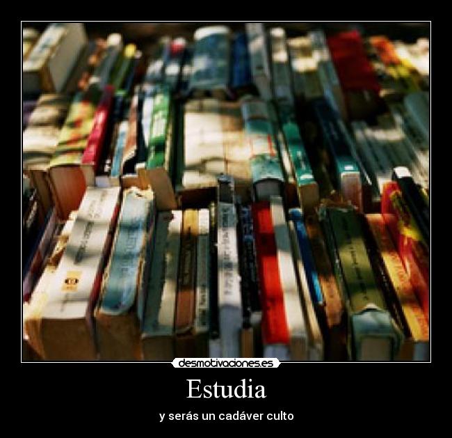 carteles estudiar sirve para nada desmotivaciones