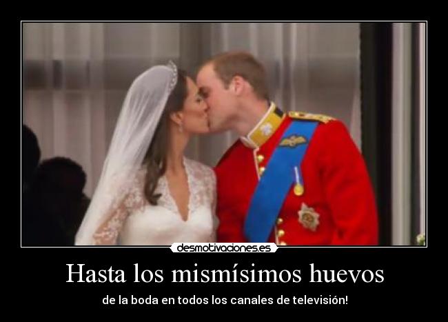 Hasta los mismísimos huevos -