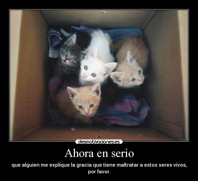 Ahora en serio -