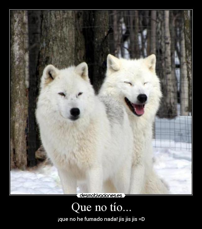 Que no tío... - ¡que no he fumado nada! jis jis jis =D
